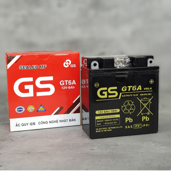 so sánh ắc quy gs và globe